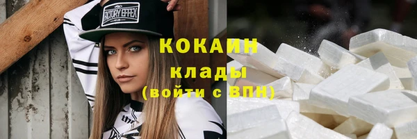 твердый Аркадак