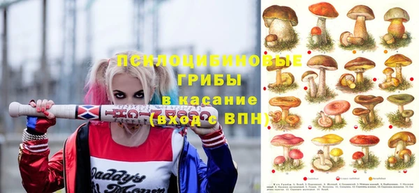 трава Армянск