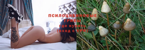 спиды Арсеньев