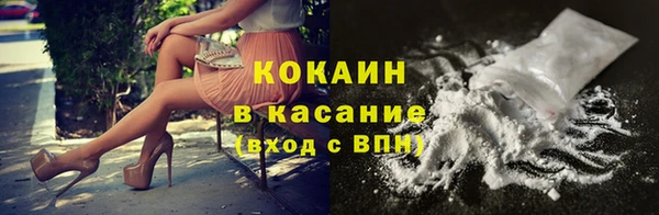 твердый Аркадак