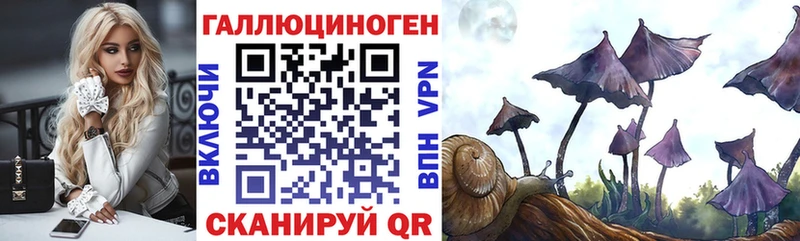 блэк спрут ТОР  это как зайти  Псилоцибиновые грибы MAGIC MUSHROOMS  Бежецк 